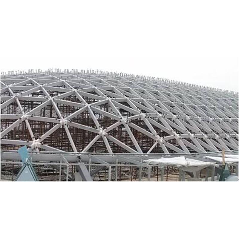 宁波轻养殖钢结构工程